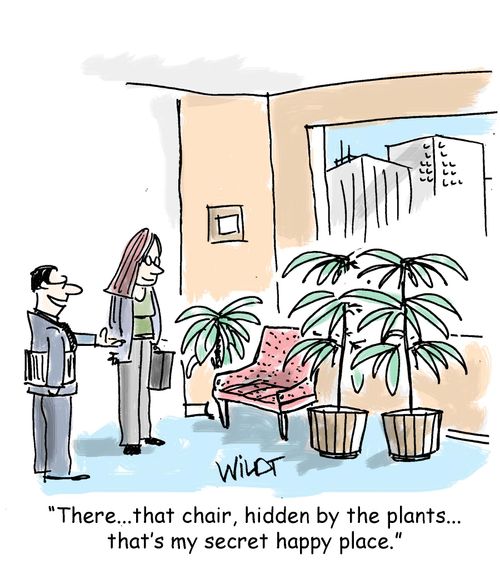 "There...that chair, hidden by the plants...that's my secret happy place."