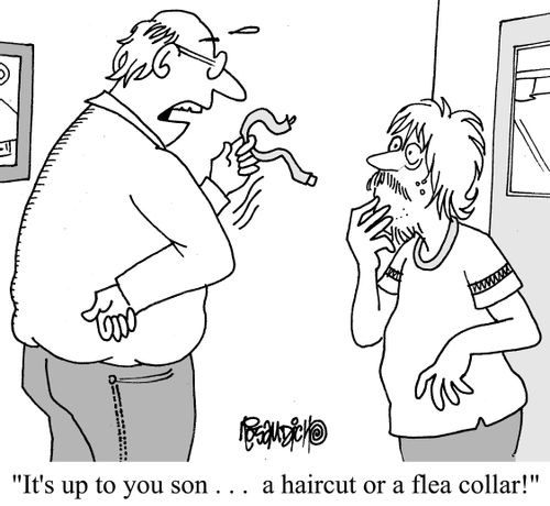 "It's up to you son. . . a haircut or a flea collar!"
