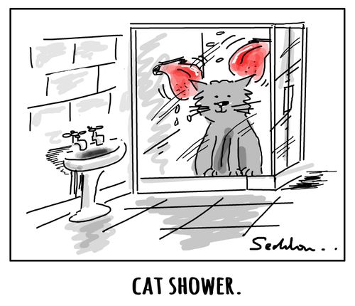 Cat Shower