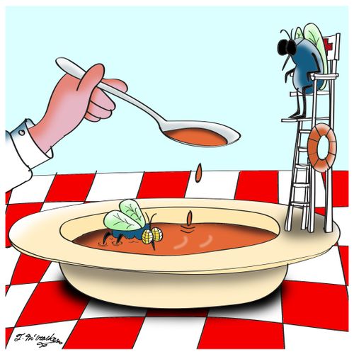 Lifeguard for Fly Swimming in Soup