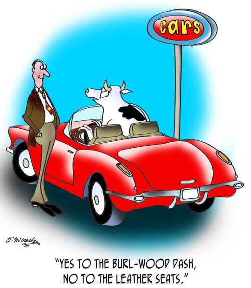 "Yes to the burl-wood dash, no to the leather seats."