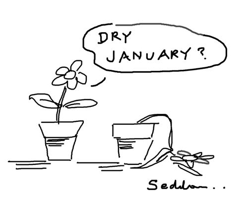 "Dry January?"
