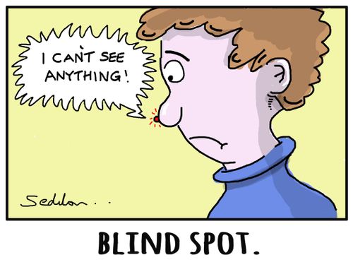 Blind Spot