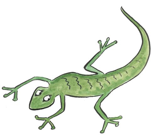 Lizard