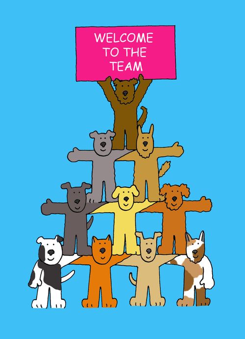 Welcome to the Team