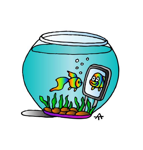 Aquarium Chat