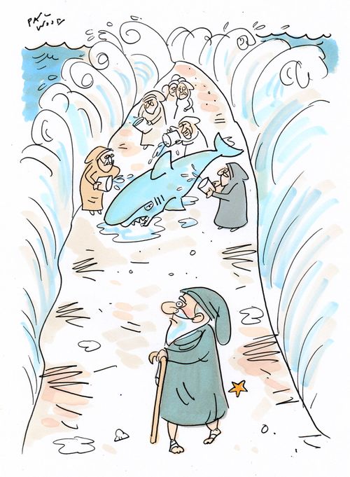 Moses/stranded shark