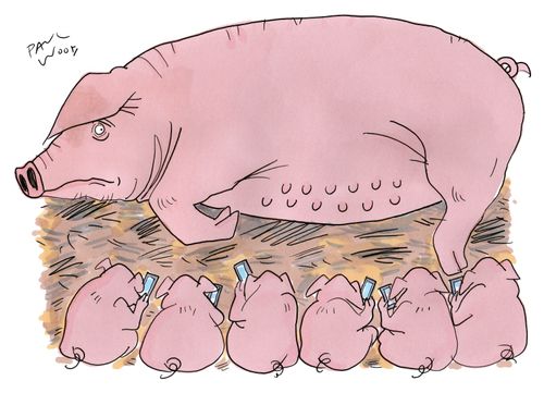 piglet phones
