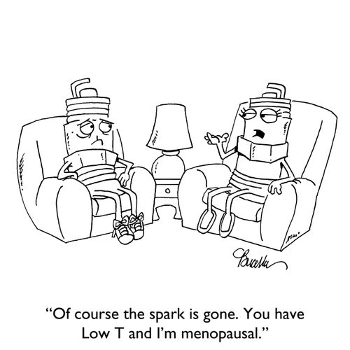 "Of course the spark is gone. You have Low T and I'm menopausal."