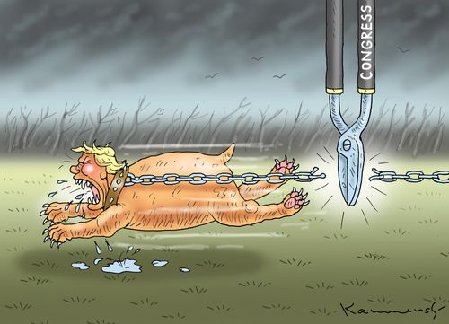 Trump is free from Congress