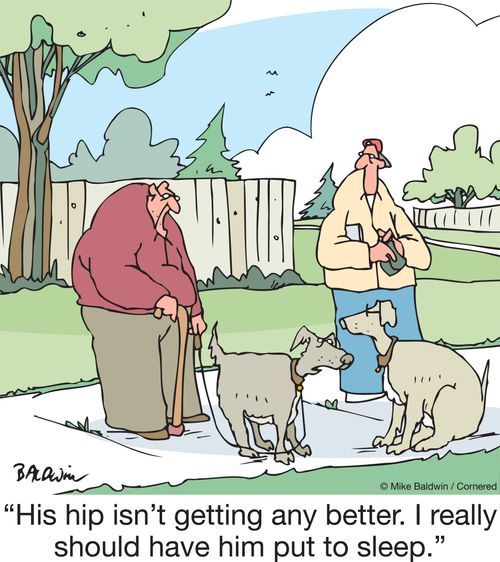 "His hip isn't getting any better. I really should have him put to sleep."
