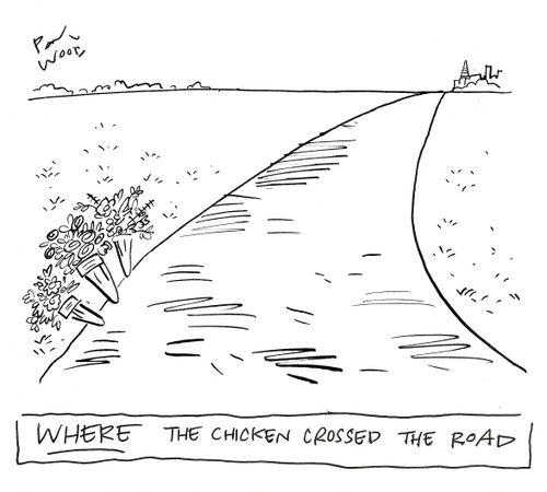 WHERE the chicken crossed the road