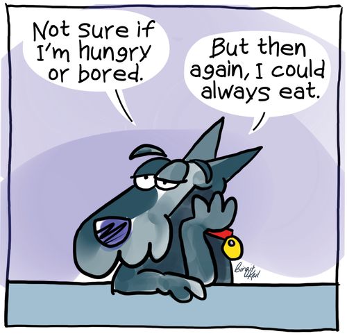 "Not sure if I'm hungry or bored."