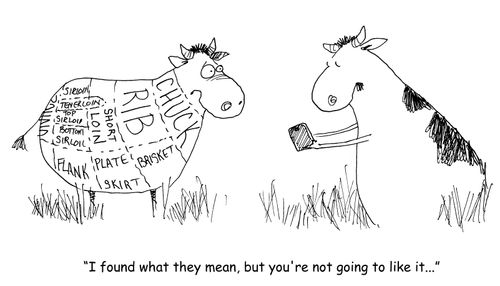 "I found what it means, but you're not going to like it..."