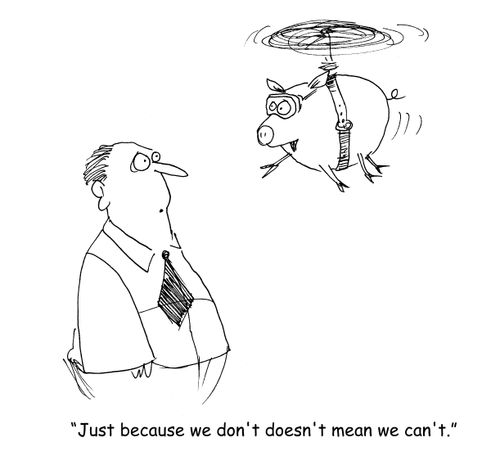 "Just because we don't doesn't mean we can't."