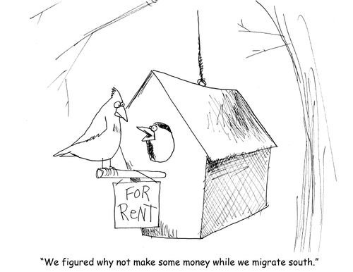 "We figured why not make some money while we migrate south." 