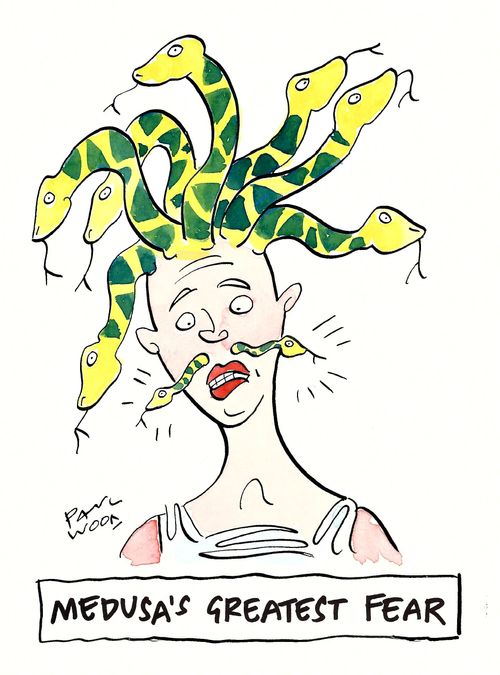 Medusa's Greatest Fear