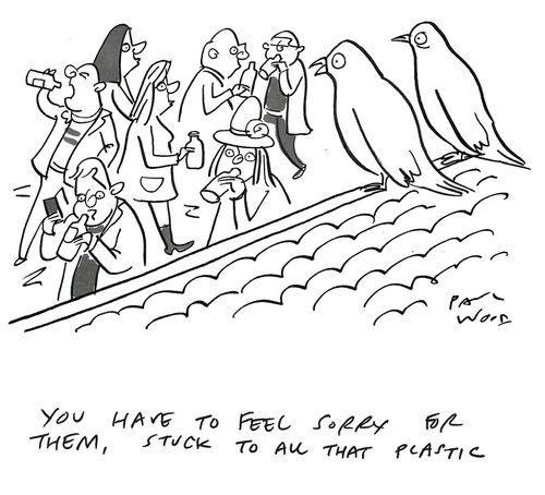 "You have to feel sorry for them, stuck to all that plastic."
