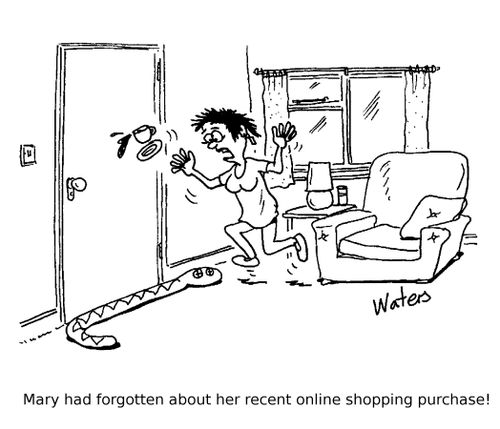 Mary had forgotten about her recent online shopping purchase!