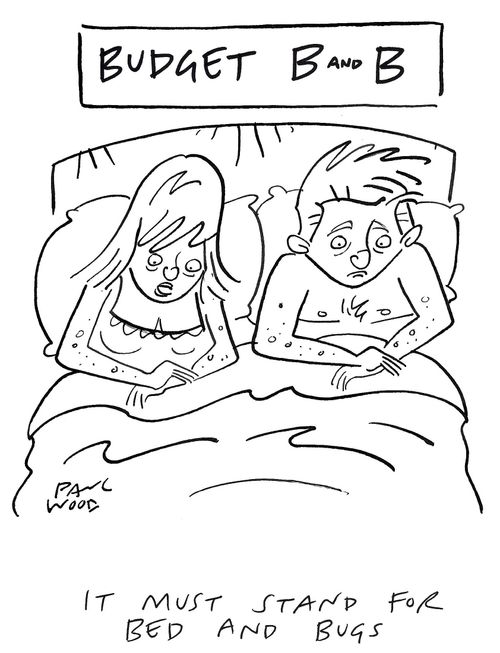 "It must stand for bed and bugs."