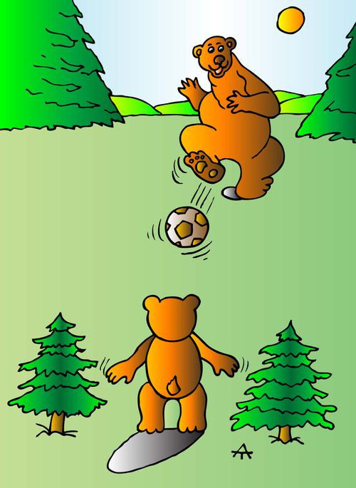 Bears