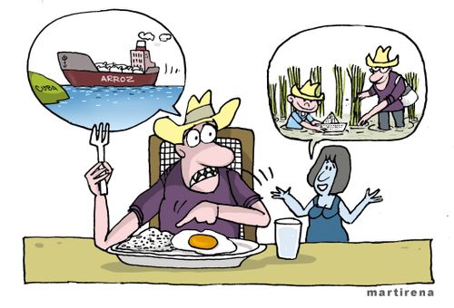 Cuba imports rice