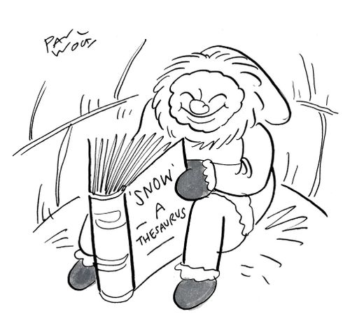 Snow-A Thesaurus