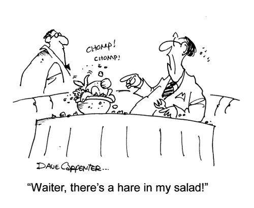 "Waiter, there's a hare in my salad!"