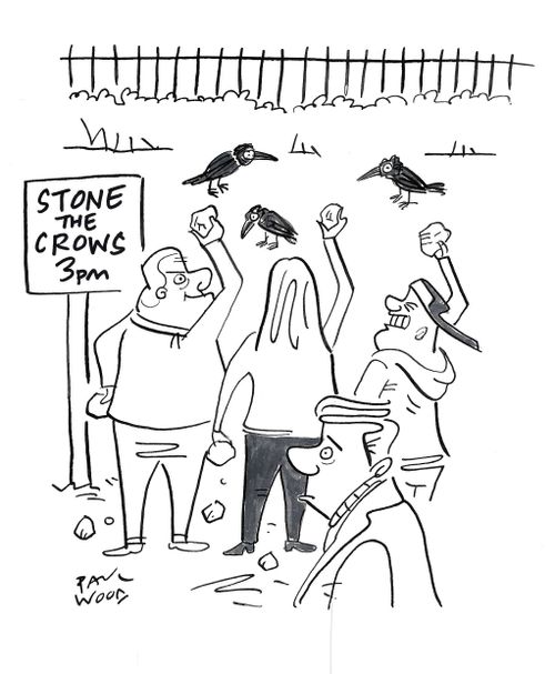 Stone the Crows 3pm