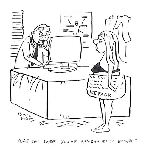 "Are you sure you've frozen eggs before?"