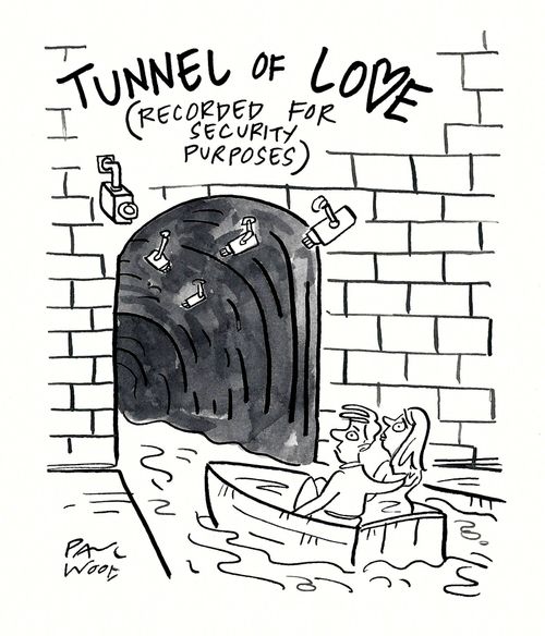 Tunnel of Love (Recorded for Security Purposes)