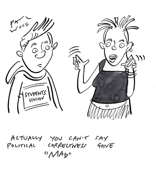 "Actually you can't say political correctness gone 'mad'."