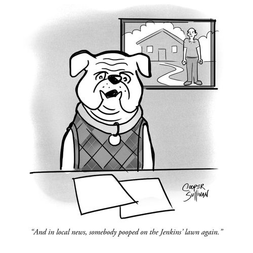 "And in local news, somebody pooped on the Jenkins' lawn again."