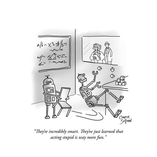 "They're incredibly smart. They've just learned that acting stupid is way more fun."