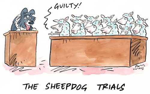 The Sheepdog Trials