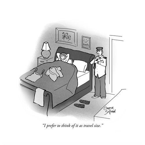 "I prefer to think of it as travel size."