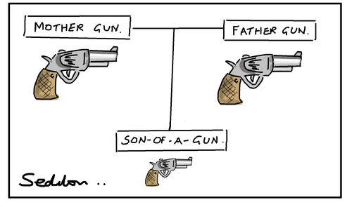 Son Of a Gun