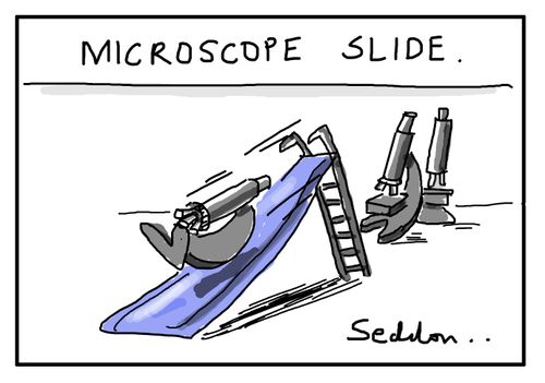 Microscope slide
