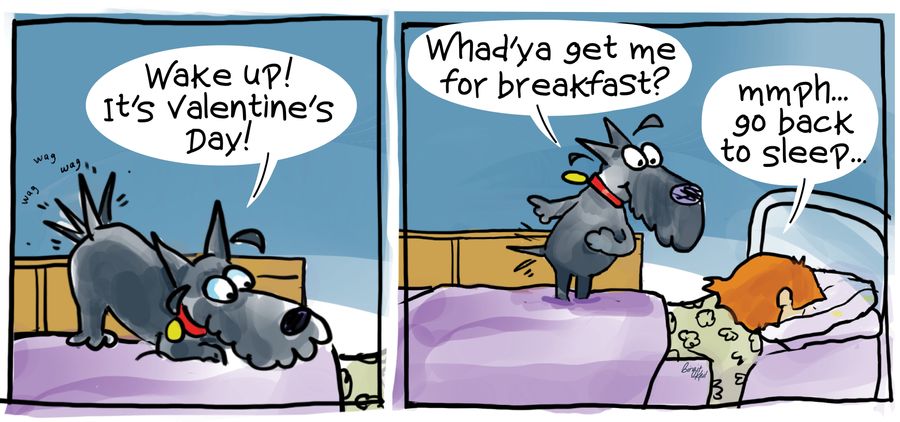 "Wake up! It's Valentine's Day!"