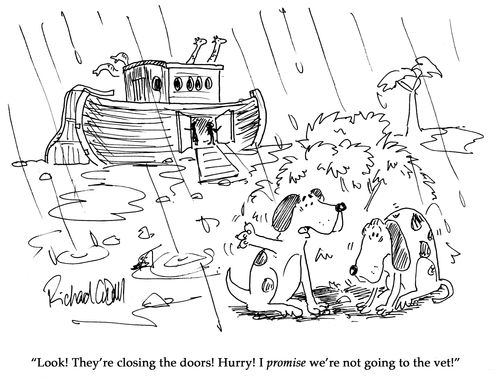 "Look! They're closing the doors! Hurry! I promise we're not going to the vet!"