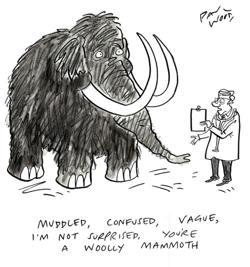 "Muddled, confused, vague, I'm not surprised, you're a woolly mammoth."