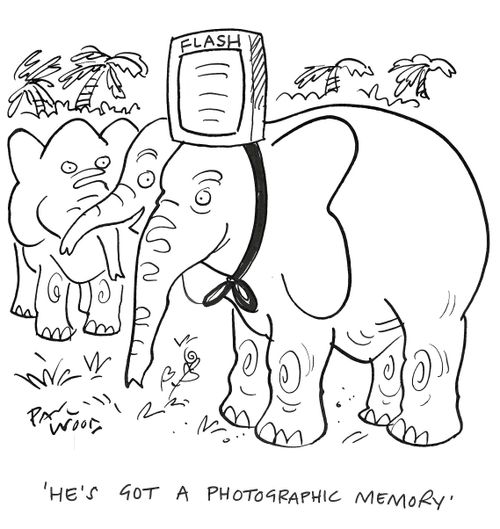 "He's got a photographic memory."