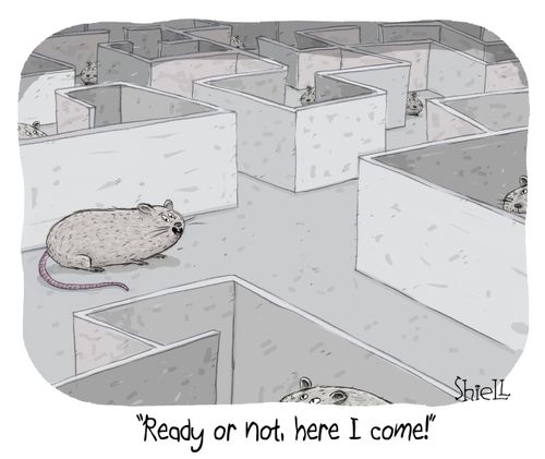 "Ready or not, here I come!"