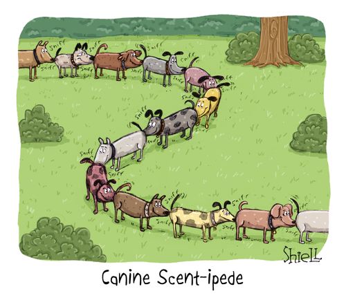 Canine Scent-ipede.