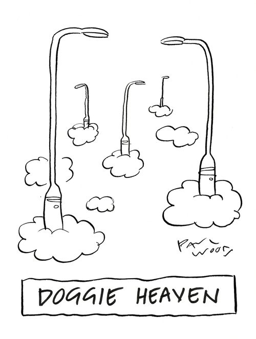 Doggie Heaven
