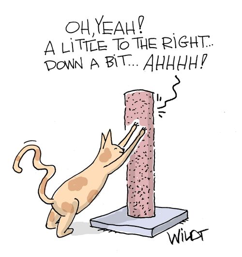 "Oh, yeah! A little to the right. . . down a bit. . . Ahhh!"