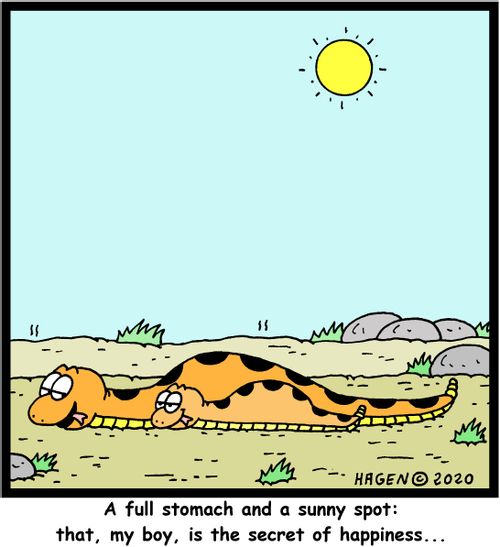 "A full stomach and a sunny spot: that, my boy, is the secret of happiness..."