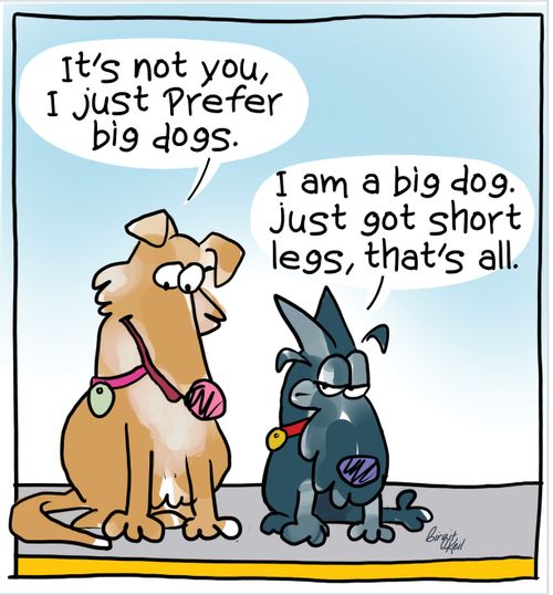 "It's not you, I just prefer big dogs."