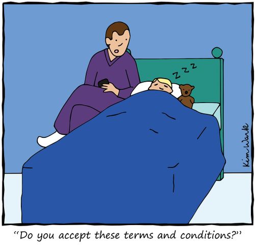 "Do you accept these terms and conditions?"