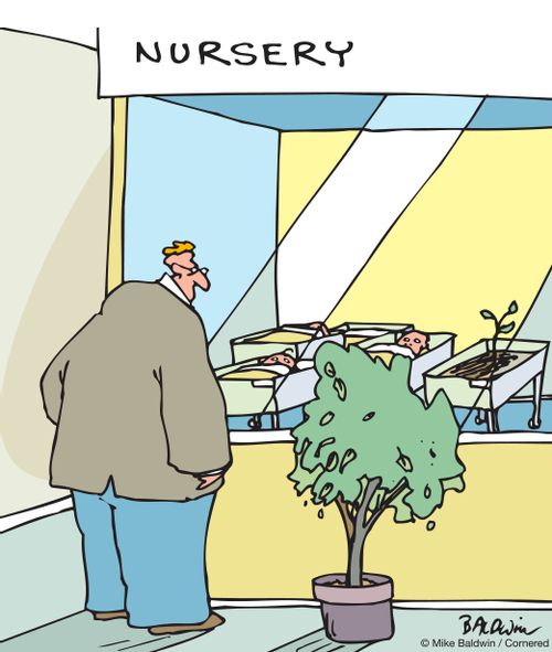 Nursery